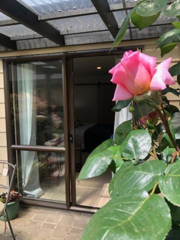 Cedar Park Bed & Breakfast Tamahere 外观 照片